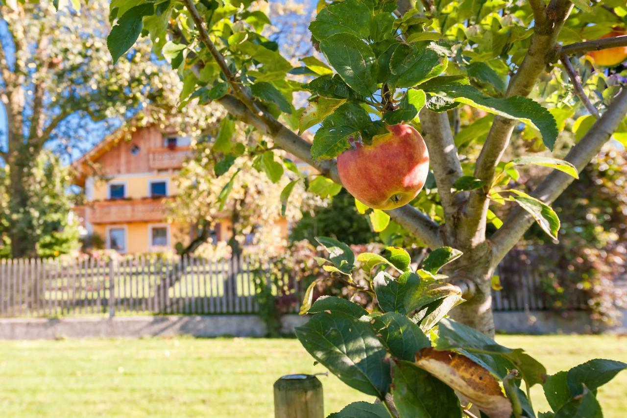 Girlinggut Schlafen Starten Salzburg Elixhausen Eksteriør billede